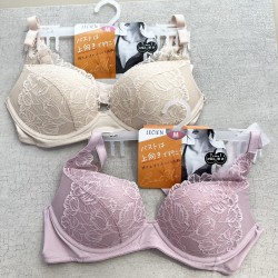 【日本🇯🇵華歌爾 ｜Lecien集中提高蕾絲無鋼圈內衣】