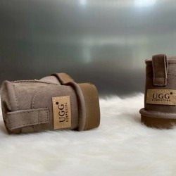 【澳洲UGG AUSPECIAL 經典低筒雪地靴】