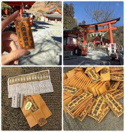 【日本山梨・金櫻神社｜迷你小判開運籤御守】