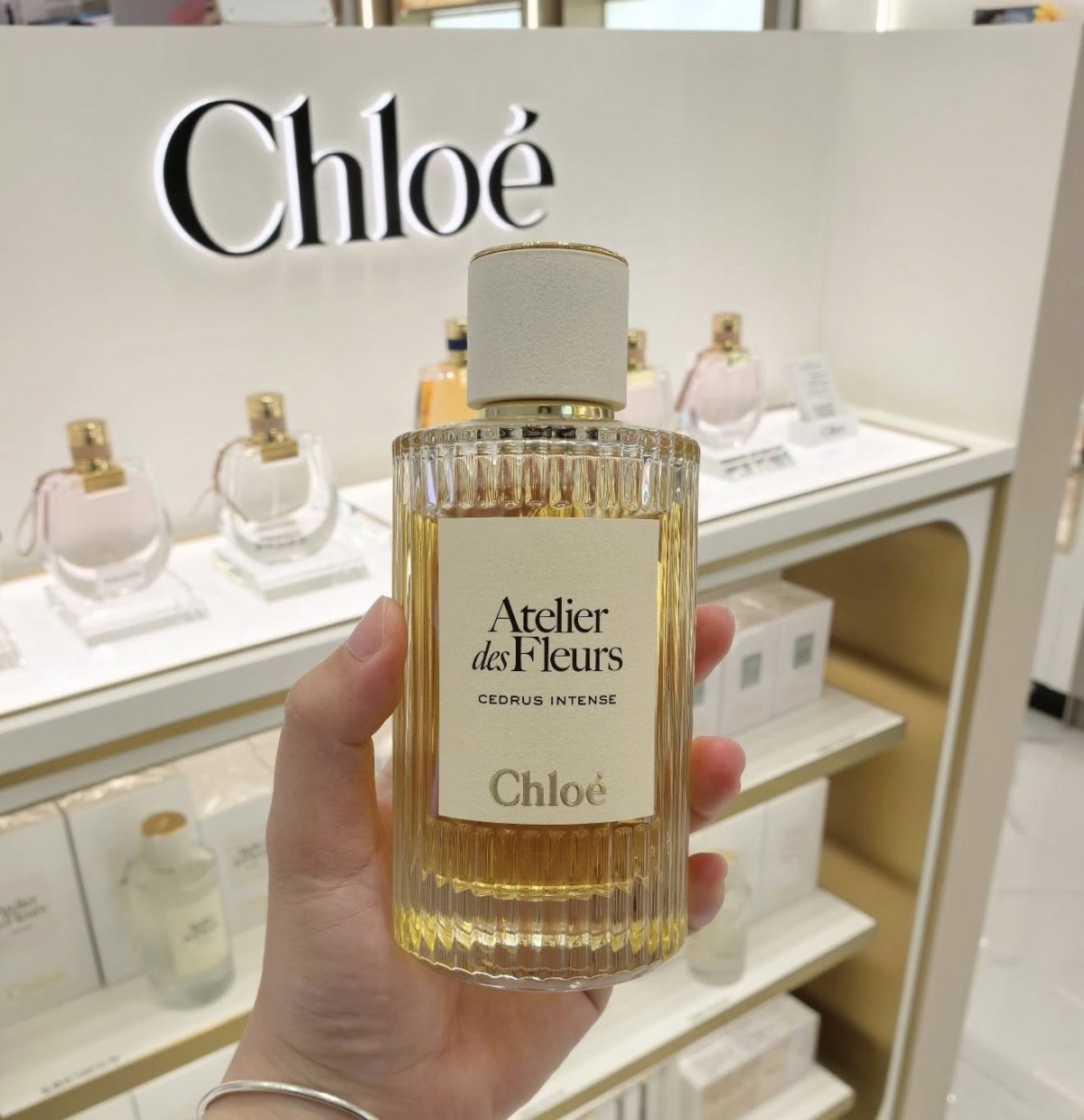 【Chloe'仙境花園系列香氛｜北國雪松・馥郁版精粹淡香精 Cedrus Intense (50ml)】