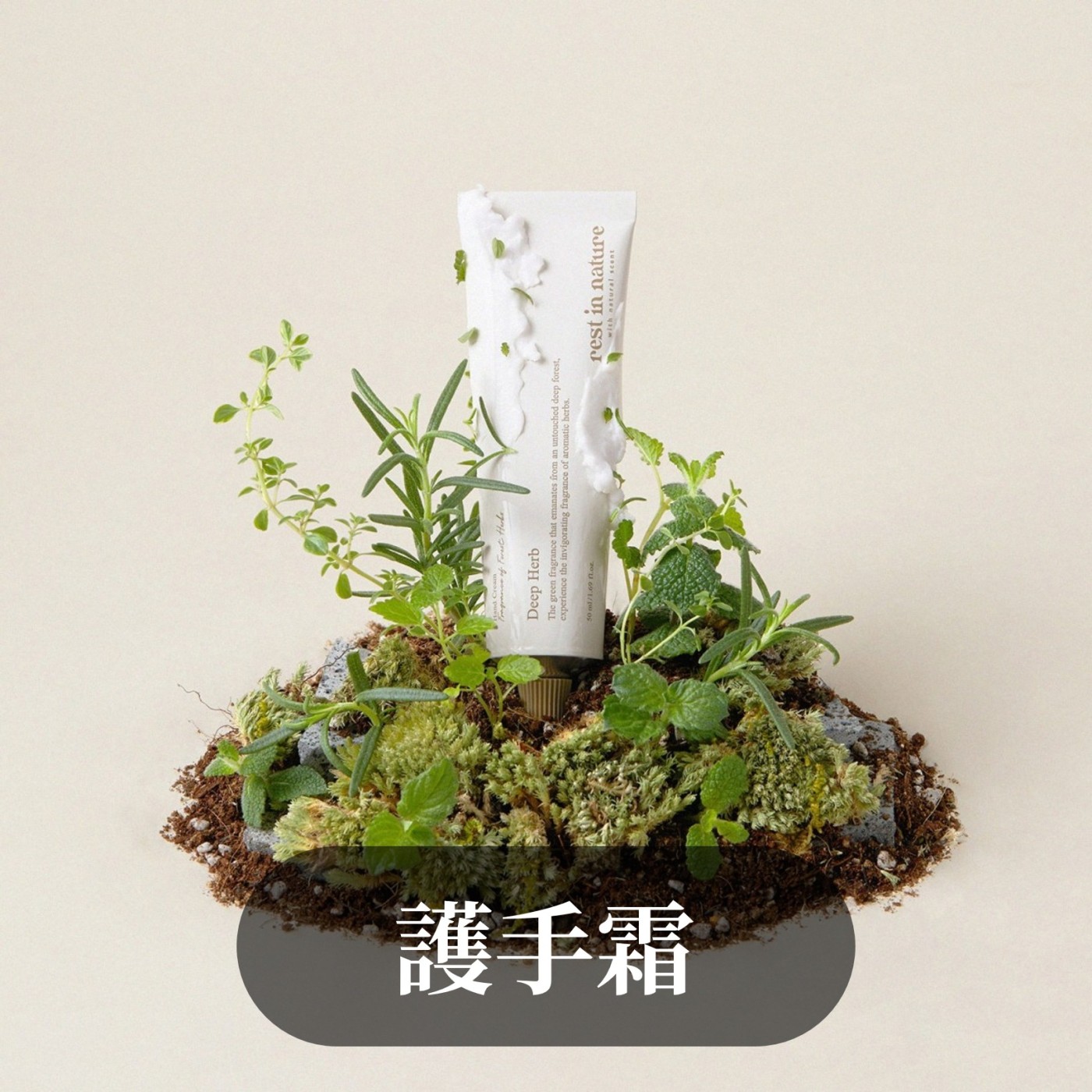 人氣類別