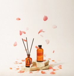 Florist 天然花香擴香 250ml