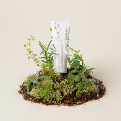 Deep Herb 香草清香護手霜