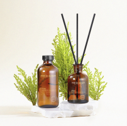 The Wilma 墨綠冷杉 擴香 250ml