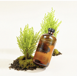 The Wilma 墨綠冷杉 擴香 500ml