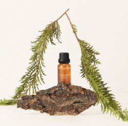 Forest Wood 森林木香精油 15ml